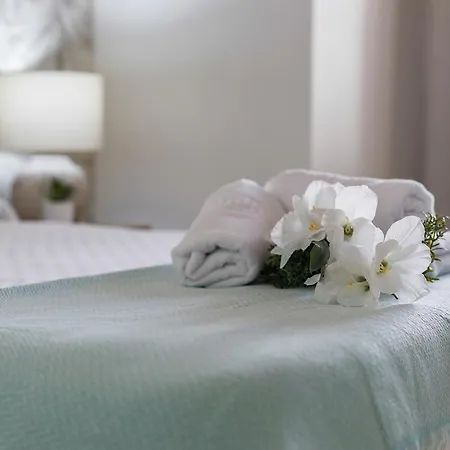 Catedral Moderno Centro