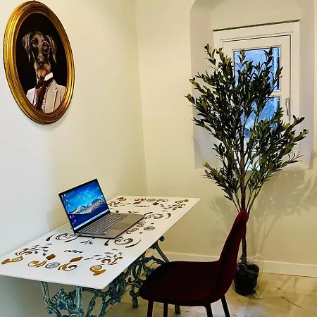 Catedral Moderno Centro Apartman