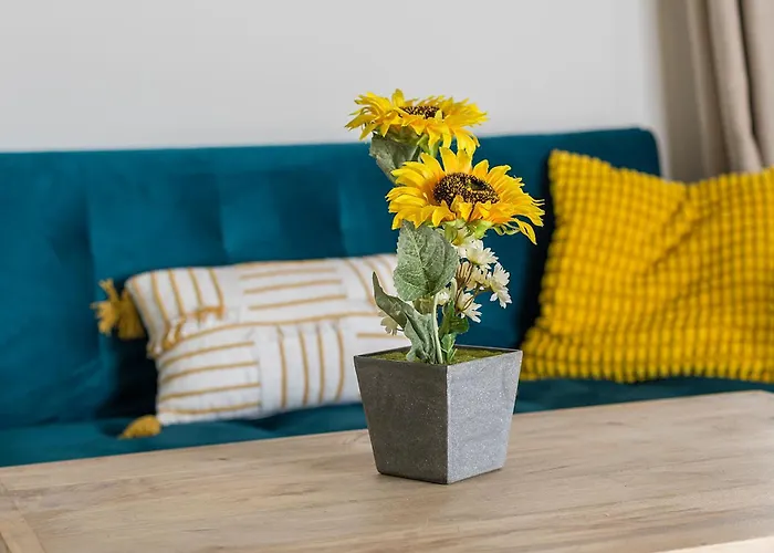 Catedral Moderno Centro Jerez de la Frontera