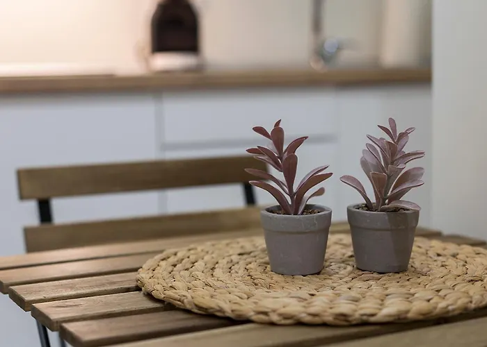 Lägenhet Catedral Moderno Centro Jerez de la Frontera