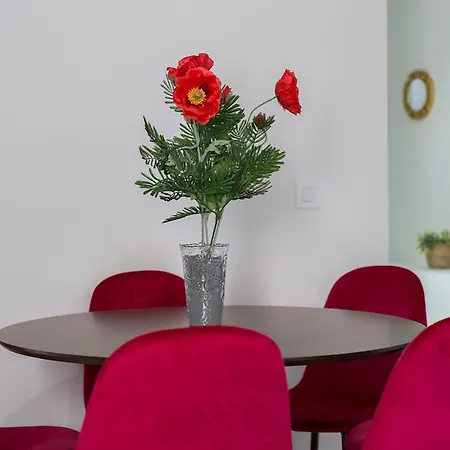 דירה Catedral Moderno Centro חרז